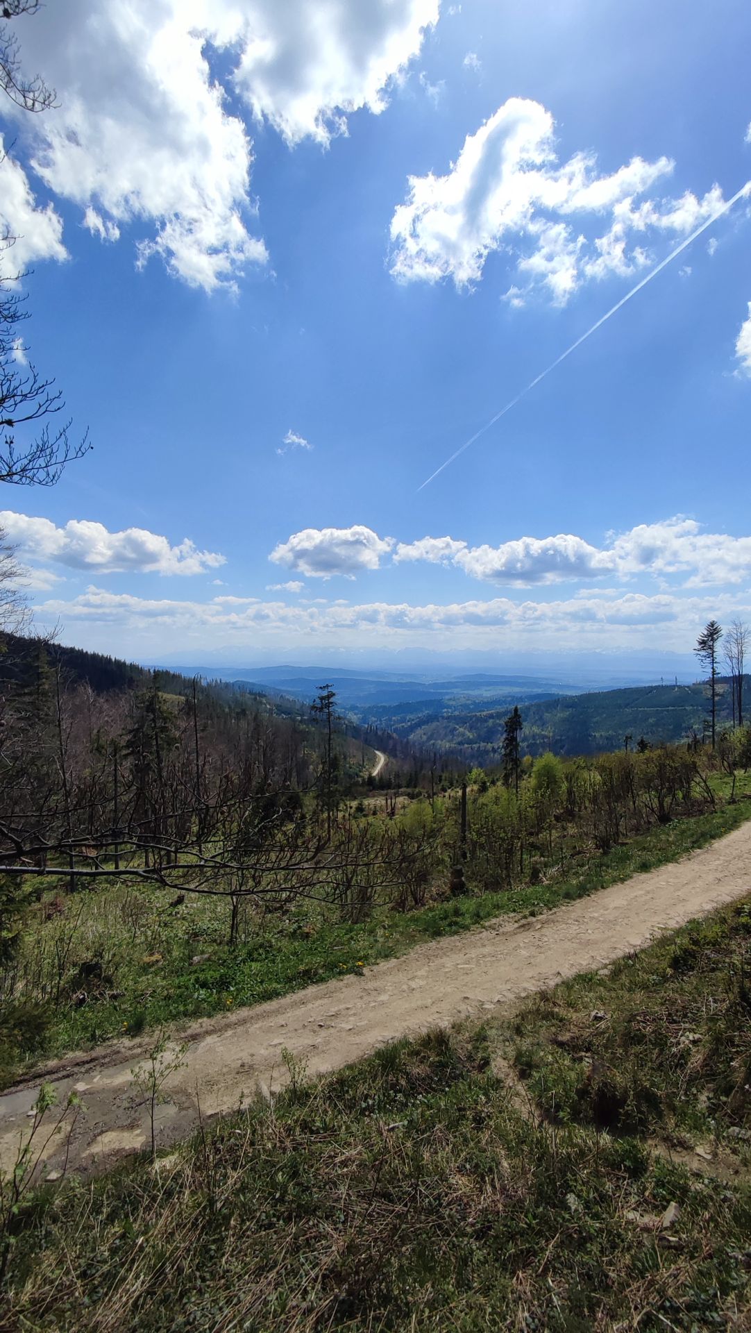 Wycieczka przez Pasmo Policy w Beskidach Zachodnich