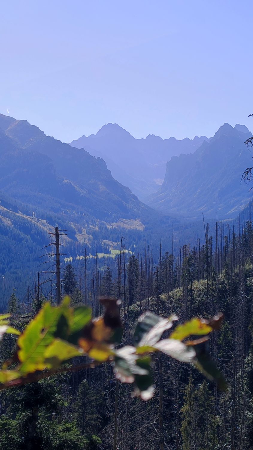 Wyprawa na Gęsią szyję – Tatry